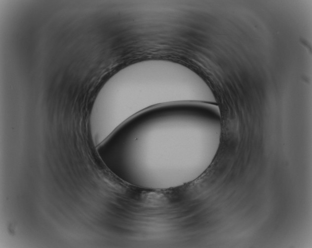 X0000092010180200709061316