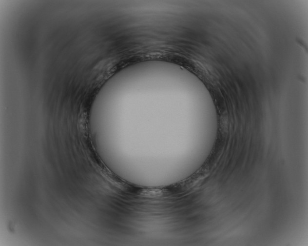 X0000092010181200709061316