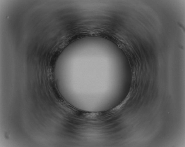 X0000092010182200709061316