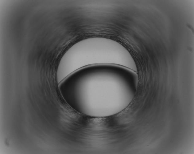X0000092010184200709061316