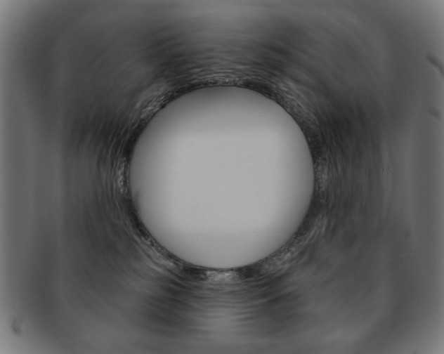 X0000092010185200709061316