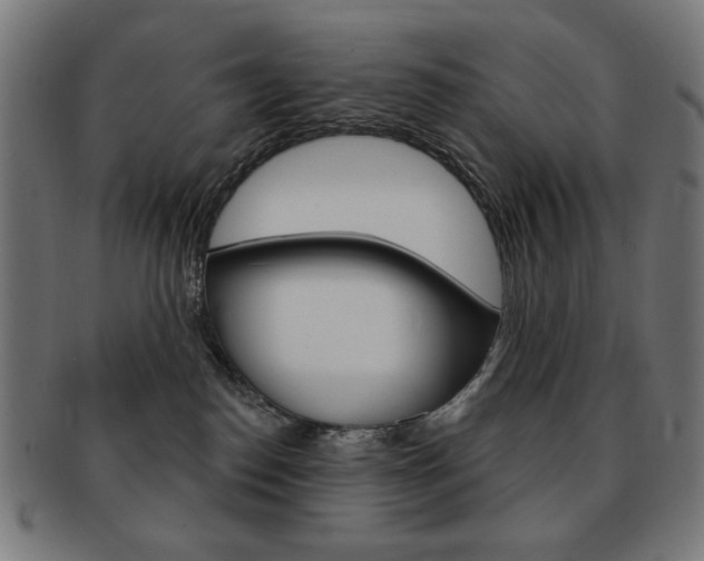 X0000092010186200709061317