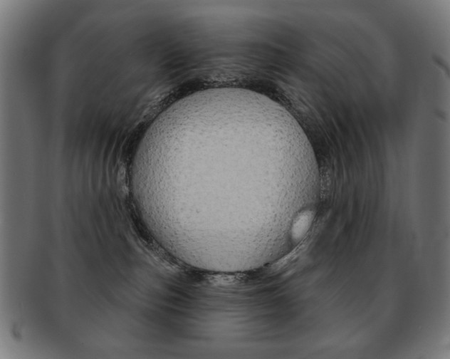 X0000092010187200709061317