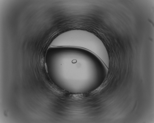 X0000092010188200709061317