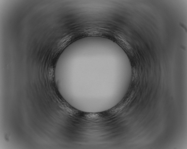 X0000092010189200709061317