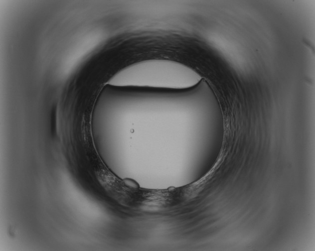 X0000092010191200709061317