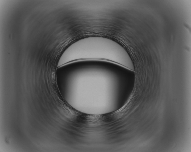 X0000092010192200709061317