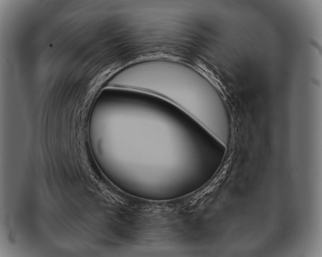 X0000092010193200709061316