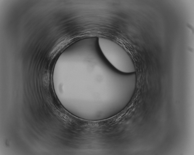 X0000092010194200709061316