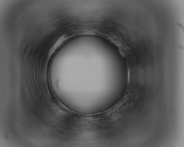 X0000092010195200709061316