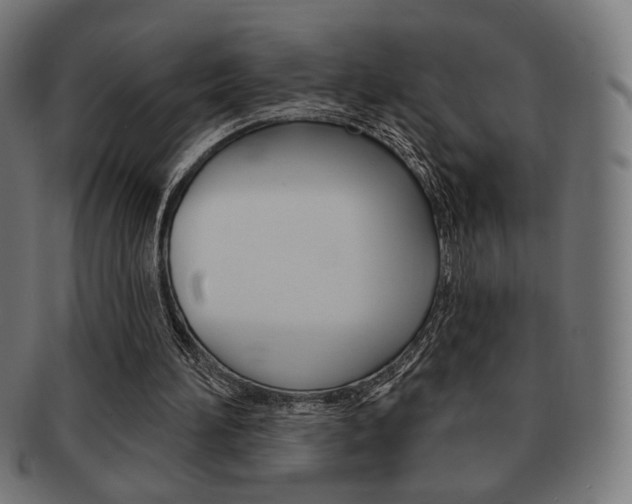 X0000092010196200709061316