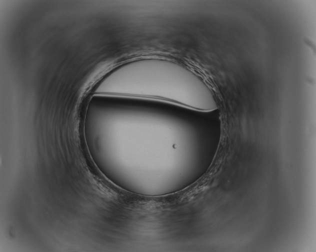 X0000092010197200709061316