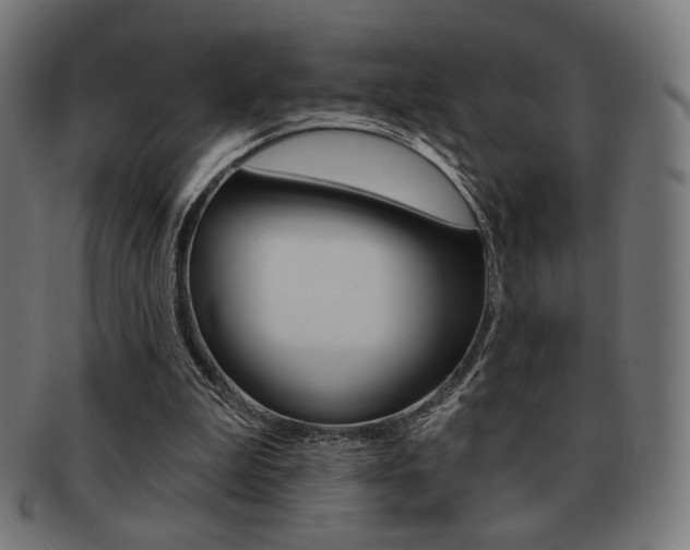 X0000092010199200709061316