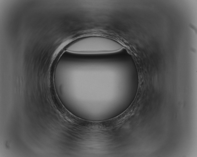 X0000092010200200709061316