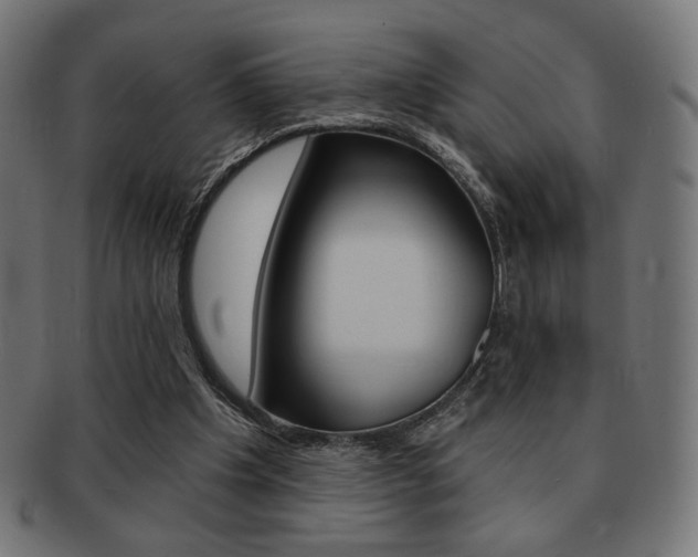 X0000092010201200709061316