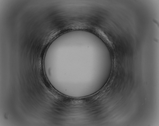 X0000092010202200709061316