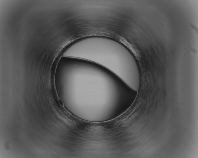 X0000092010203200709061316