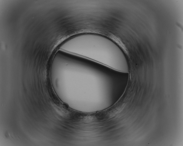 X0000092010204200709061316