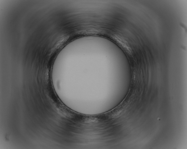 X0000092010206200709061316
