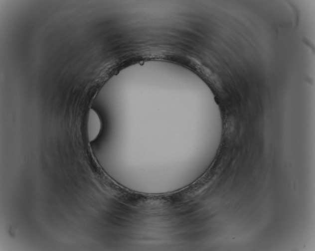 X0000092010209200709061316
