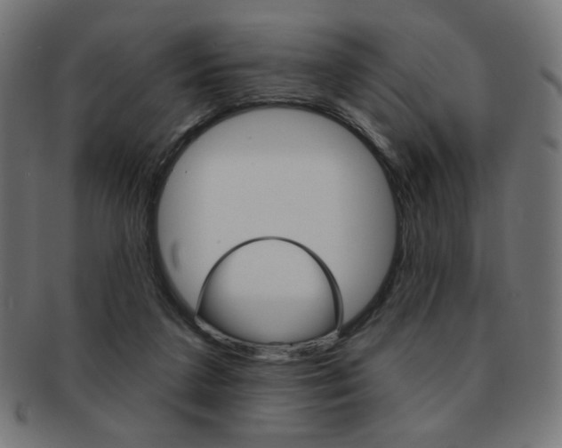 X0000092010211200709061316