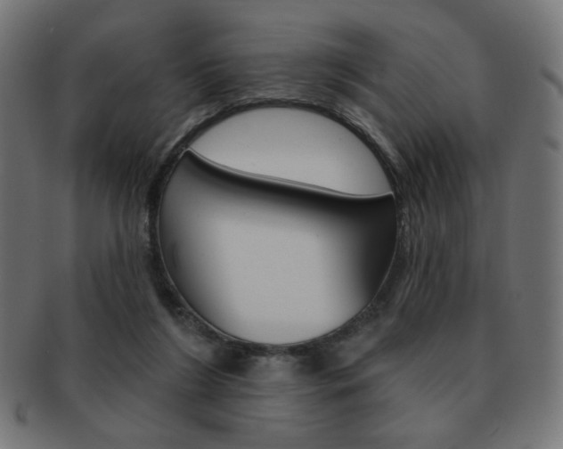X0000092010212200709061316