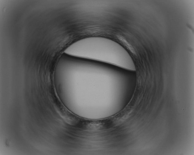 X0000092010213200709061316