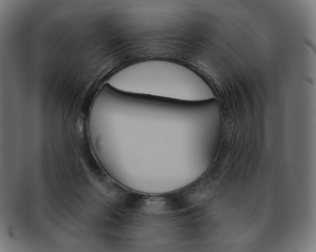 X0000092010214200709061316