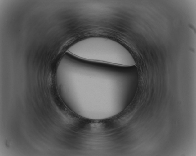 X0000092010216200709061316