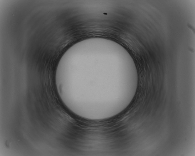 X0000092010219200709061316