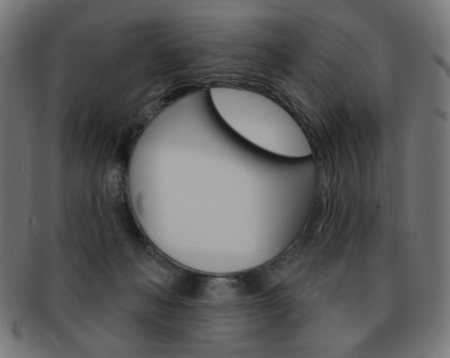 X0000092010222200709061316