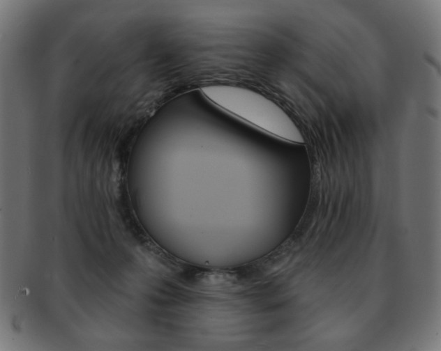 X0000092010223200709061316