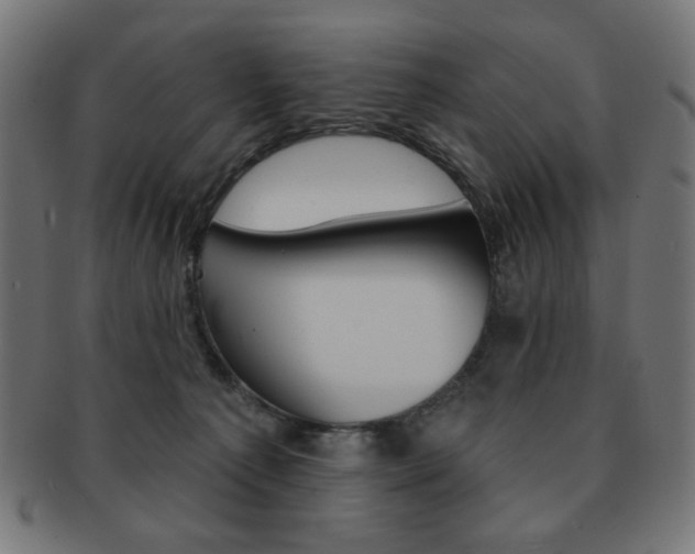X0000092010225200709061316