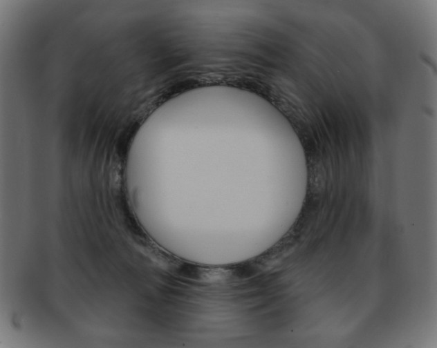 X0000092010226200709061316