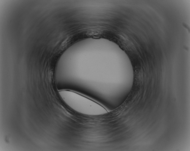 X0000092010227200709061316