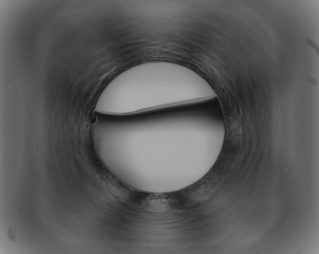 X0000092010228200709061316