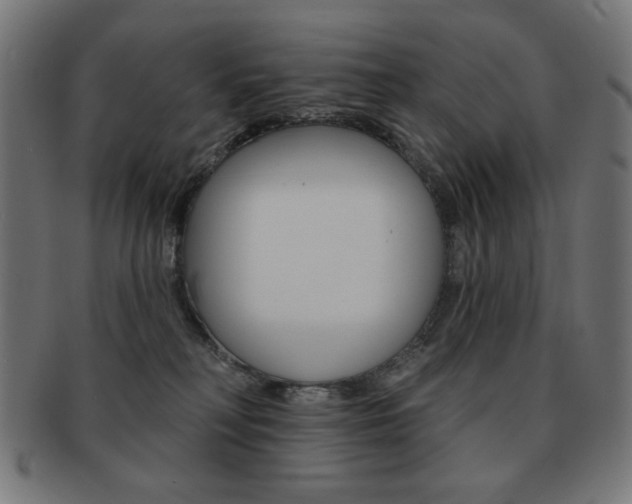 X0000092010230200709061316