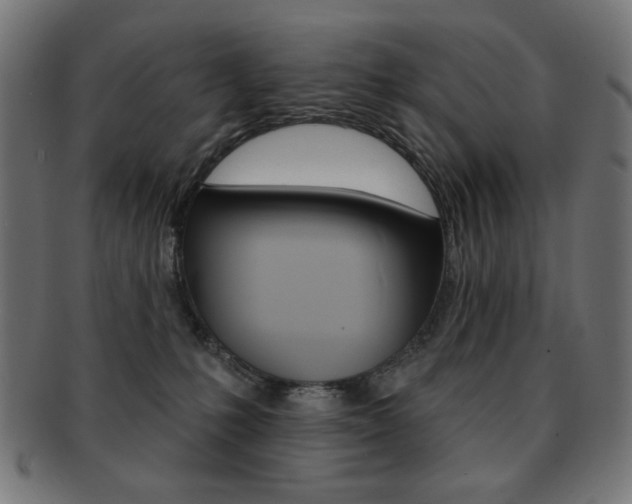 X0000092010231200709061316