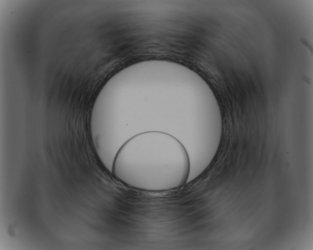 X0000092010233200709061316
