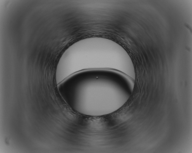 X0000092010235200709061316
