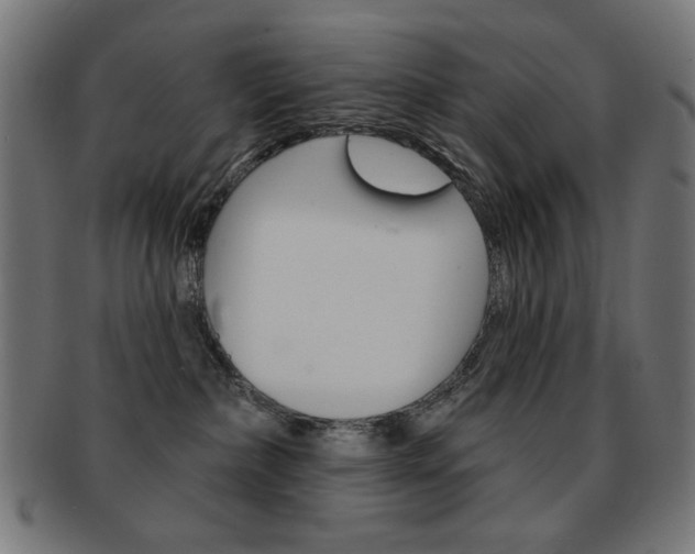 X0000092010236200709061316