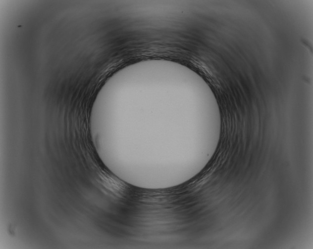 X0000092010237200709061315