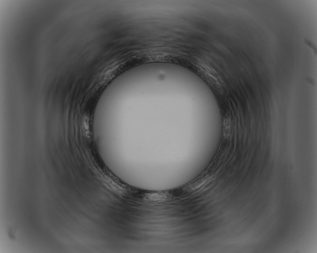 X0000092010238200709061315