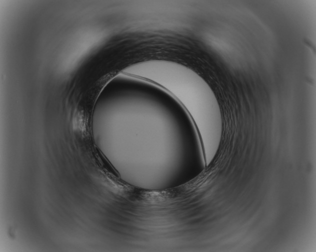 X0000092010239200709061315