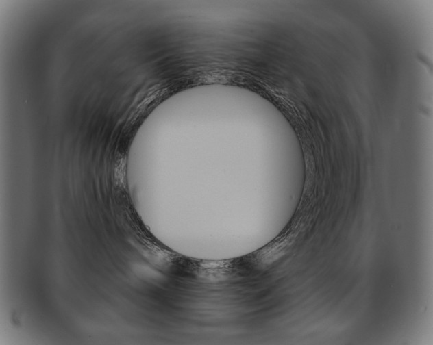 X0000092010240200709061315