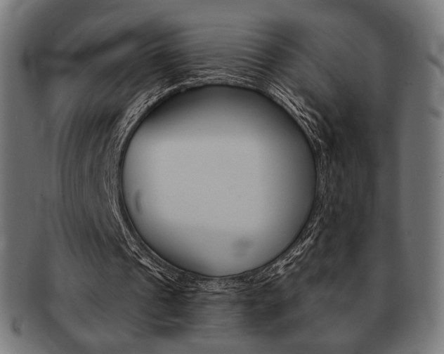 X0000092010241200709061315