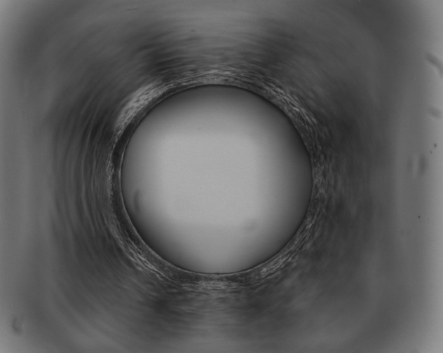 X0000092010242200709061315