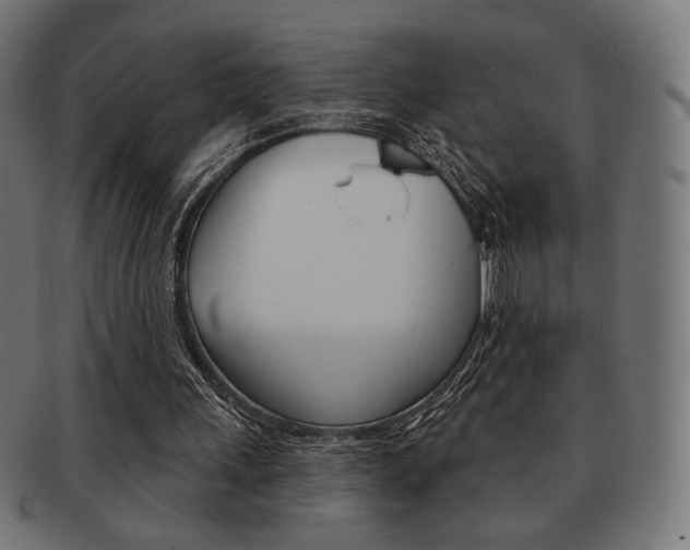 X0000092010243200709061315