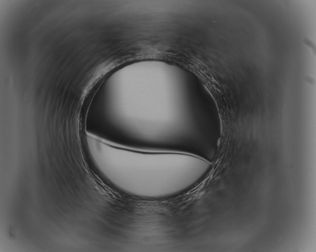 X0000092010244200709061315