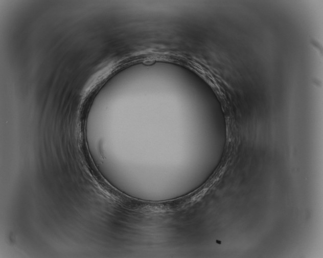 X0000092010245200709061315